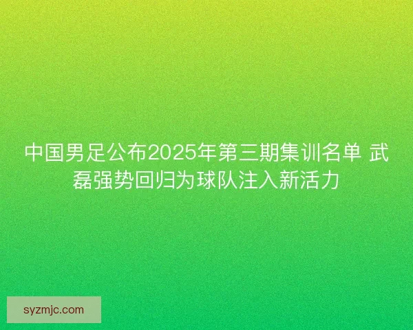中国男足公布2025年第三期集训名单 武磊强势回归为球队注入新活力